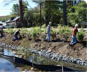 Pond liner